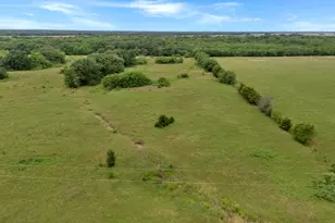 Tract 7 County Road 2158, Cooper, TX 75432 - Photo 1