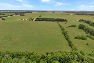 Tract 5 County Road 2158, Cooper, TX 75432 - Photo 1