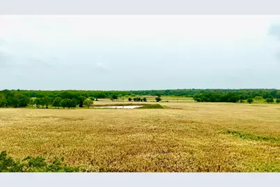 1179 County Road 1990, Chico, TX 76431 - Photo 11