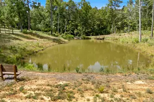 782 Rosie Wady Rd, Gladewater, TX 75647 - Photo 33