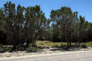 11023 Paradise Blvd, Bluff Dale, TX 76433 - Photo 1