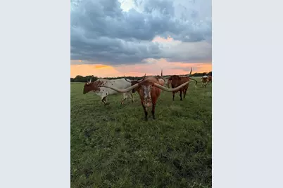1704 County Road 1002, Greenville, TX 75401 - Photo 37
