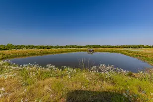 1704 Co Rd 1002, Greenville, TX 75401 - Photo 7