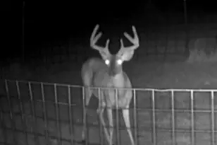575 County Rd 442, Rochelle, TX 76872 - Photo 7