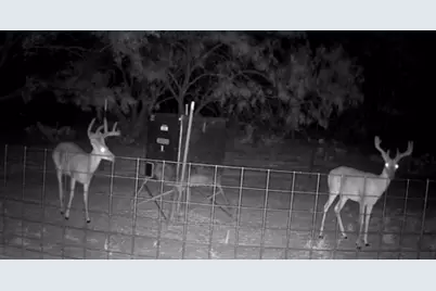 575 County Road 442, Rochelle, TX 76872 - Photo 13