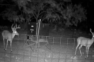 575 County Rd 442, Rochelle, TX 76872 - Photo 13