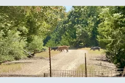 511 Lcr 793, Groesbeck, TX 76642 - Photo 25