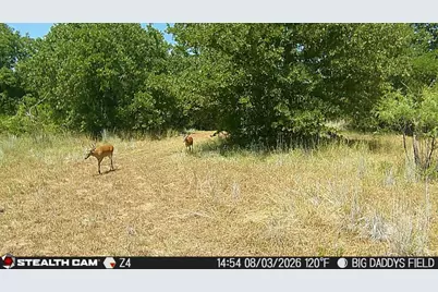 1000 Middleton Road, Weatherford, TX 76088 - Photo 29