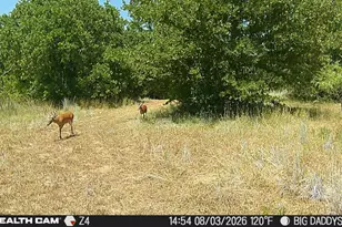 1000 Middleton Rd, Weatherford, TX 76088 - Photo 29