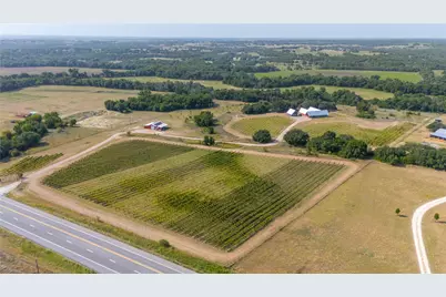 25270 E State Highway 6, Hico, TX 76457 - Photo 3
