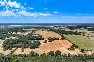 000 County Road 2615, Ivanhoe, TX 75447 - Photo 1