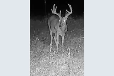 0000 Cr 2185, Klondike, TX 75448 - Photo 11