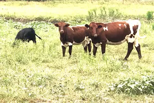 6547 I 35 S, Gainesville, TX 76240 - Photo 17