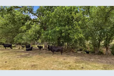 544 W Fm 902, Collinsville, TX 76233 - Photo 33