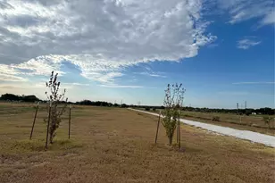 443 Downsville Rd, Robinson, TX 76706 - Photo 17