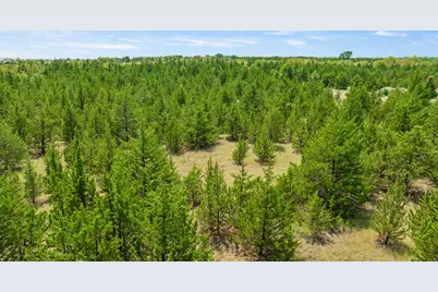 00 County Road 13600, Paris, TX 75462 - Photo 17