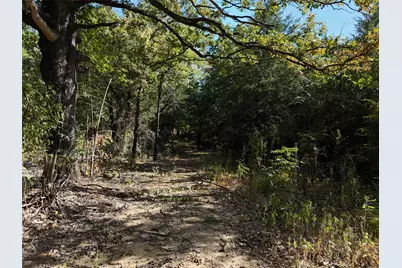 001701 Cr 2770, Honey Grove, TX 75446 - Photo 15