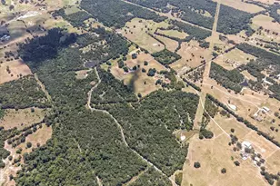 184 Fcr, Teague, TX 75860 - Photo 37