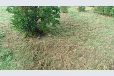 9097 County Road 2472, Royse City, TX 75189 - Photo 11