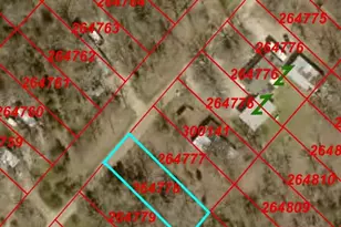 00 San Jacinto Dr, Log Cabin, TX 75148 - Photo 1