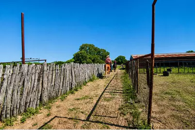 8228 US Hwy 377, Tolar, TX 76872 - Photo 37