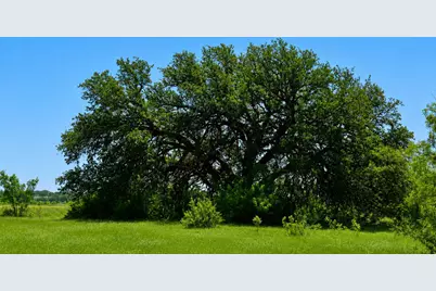 8228 US Hwy 377, Tolar, TX 76872 - Photo 21