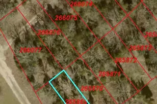 0000 Sagebrush St, Log Cabin, TX 75148 - Photo 1