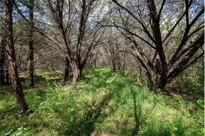 501 E Mc Lain St Street, Iredell, TX 76649 - Photo 11