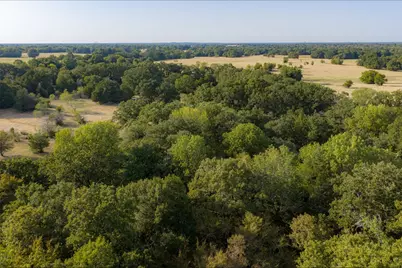 0 Cr 4200, Kerens, TX 75144 - Photo 29