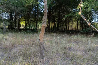 0 Cr 4200, Kerens, TX 75144 - Photo 33