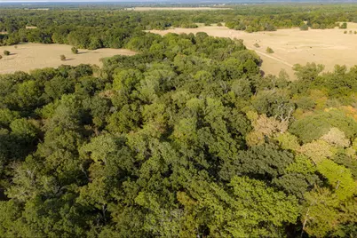 0 Cr 4200, Kerens, TX 75144 - Photo 15