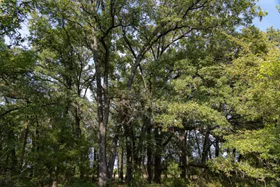 0 Cr 4200, Kerens, TX 75144 - Photo 35