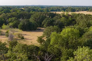 0 Cr 4200, Kerens, TX 75144 - Photo 1