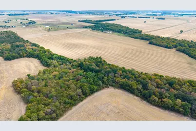 6304 & 6280 Fm 512, Wolfe City, TX 75496 - Photo 9