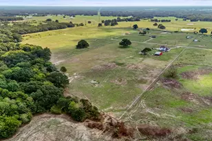 233 Private Rd, Wills Point, TX 75169 - Photo 21