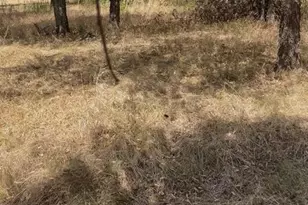 103313 Hillside Cir, Lone Oak, TX 75453 - Photo 1