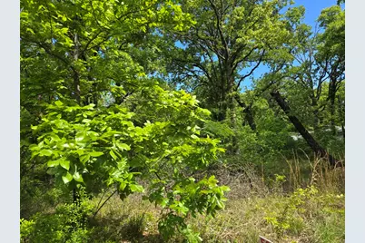 Lot 700 Shady Grove Road, Gun Barrel City, TX 75156 - Photo 7