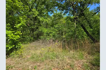 Lot 700 Shady Grove Road, Gun Barrel City, TX 75156 - Photo 1