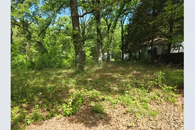 Lot 700 Shady Grove Road, Gun Barrel City, TX 75156 - Photo 13