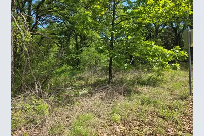 Lot 701 Shady Grove Road, Gun Barrel City, TX 75156 - Photo 3