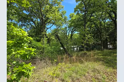 Lot 701 Shady Grove Road, Gun Barrel City, TX 75156 - Photo 7