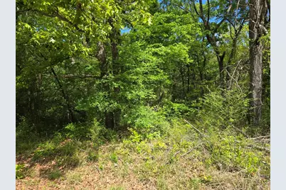 Lot 701 Shady Grove Road, Gun Barrel City, TX 75156 - Photo 1