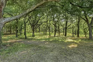 274 N Washburn Rd, Bells, TX 75414 - Photo 27