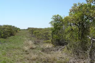 92 P R 135, Goldthwaite, TX 76844 - Photo 27
