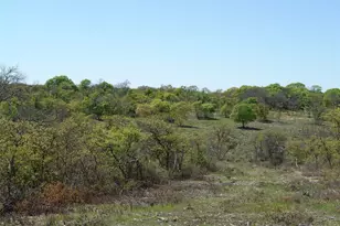 92 P R 135, Goldthwaite, TX 76844 - Photo 23