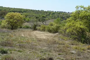 92 P R 135, Goldthwaite, TX 76844 - Photo 3
