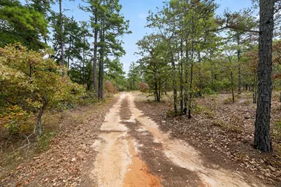 4079 S Farm To Market 2869 Road, Hawkins, TX 75765 - Photo 31