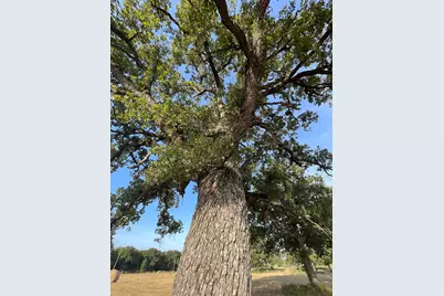 Lot 36 Cr 1200, Athens, TX 75751 - Photo 13