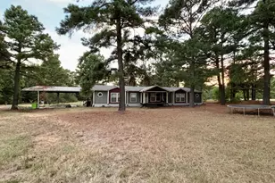 1507 W State Hwy 154, Quitman, TX 75783 - Photo 3