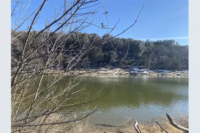 Lot 133 River Shoals, Mineral Wells, TX 76067 - Photo 3